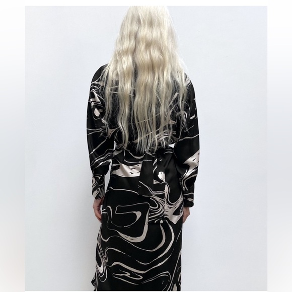Zara Black & White Silky Dress - Picture 5 of 15